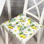 Chairs Pads Chairs Cushions